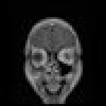perlguy2 icon